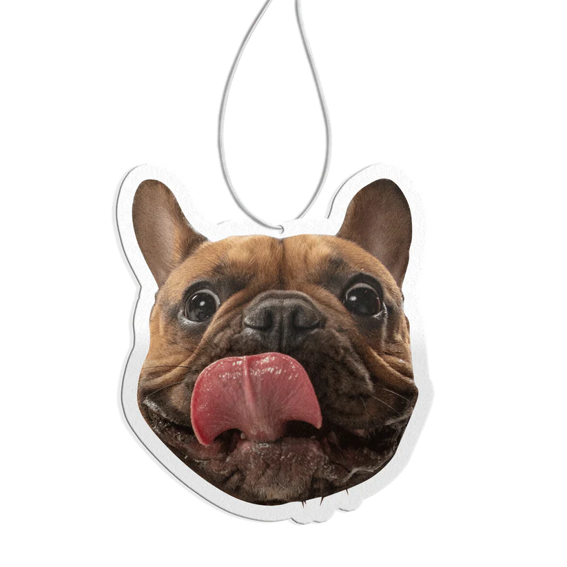 Custom Air Freshener