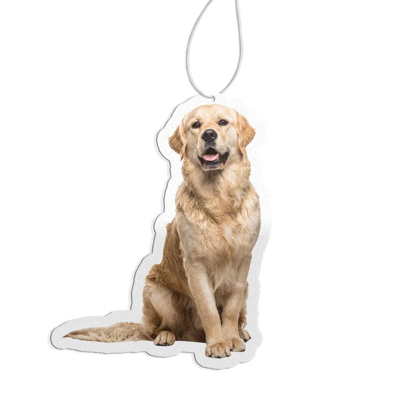 Custom Air Freshener